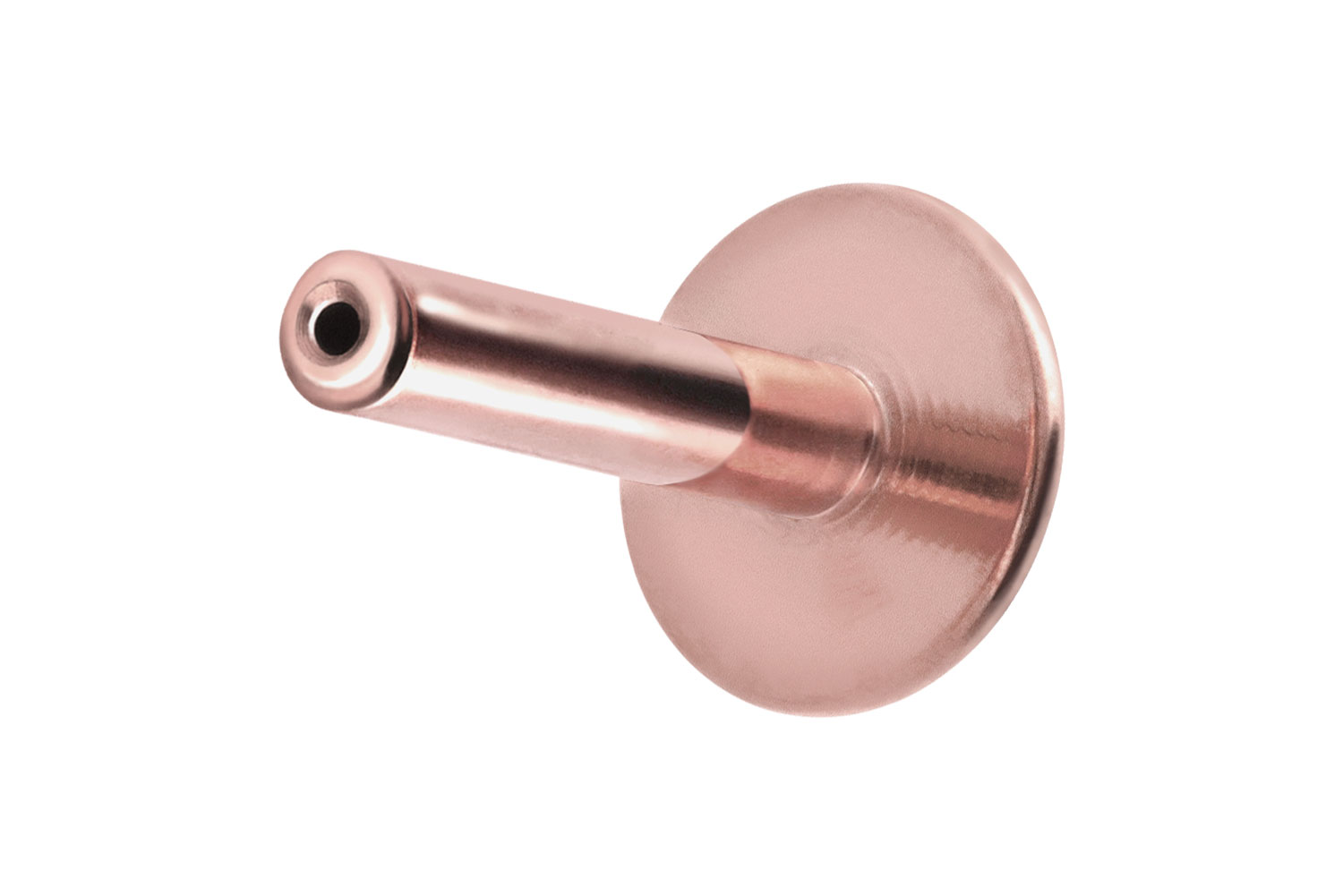 Titan Labret Piercing mit Push Fit ohne Kugel ABGERUNDETE PLATTE